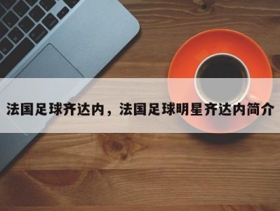 法国足球齐达内，法国足球明星齐达内简介