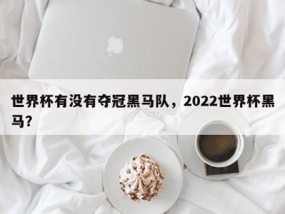 世界杯有没有夺冠黑马队，2022世界杯黑马？