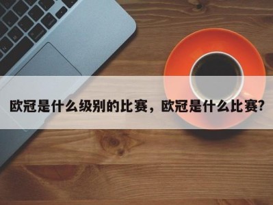欧冠是什么级别的比赛，欧冠是什么比赛?