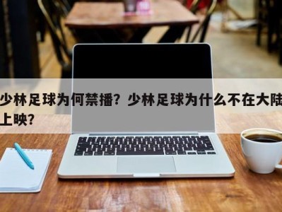 少林足球为何禁播？少林足球为什么不在大陆上映？
