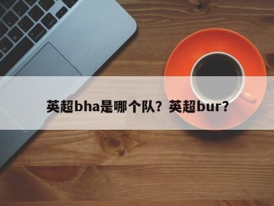 英超bha是哪个队？英超bur？