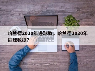 哈兰德2020年进球数，哈兰德2020年进球数据？