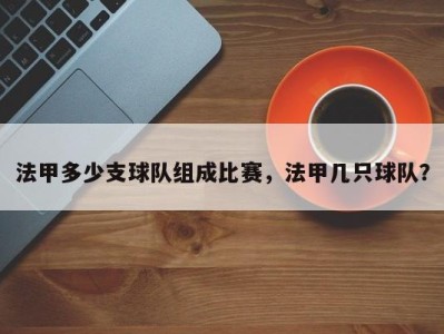 法甲多少支球队组成比赛，法甲几只球队？