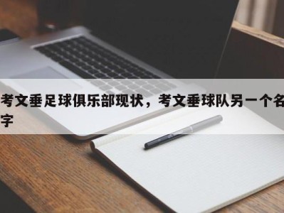 考文垂足球俱乐部现状，考文垂球队另一个名字