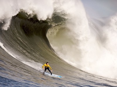 98年法国国家队,98年法国国家队名单