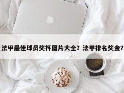 法甲最佳球员奖杯图片大全？法甲排名奖金？