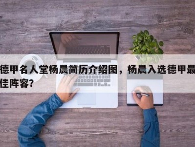 德甲名人堂杨晨简历介绍图，杨晨入选德甲最佳阵容？