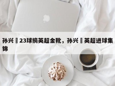 孙兴慜23球摘英超金靴，孙兴慜英超进球集锦