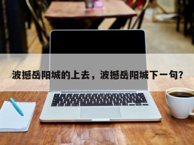 波撼岳阳城的上去，波撼岳阳城下一句？