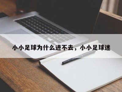 小小足球为什么进不去，小小足球迷