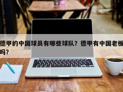 德甲的中国球员有哪些球队？德甲有中国老板吗？