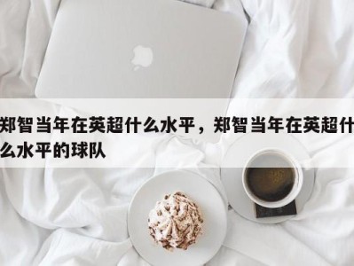 郑智当年在英超什么水平，郑智当年在英超什么水平的球队