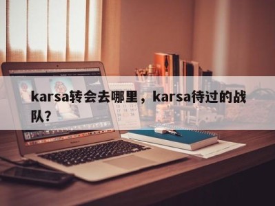 karsa转会去哪里，karsa待过的战队？
