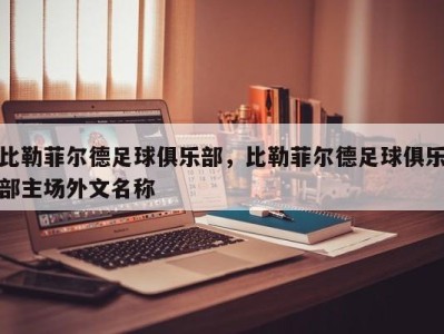 比勒菲尔德足球俱乐部，比勒菲尔德足球俱乐部主场外文名称