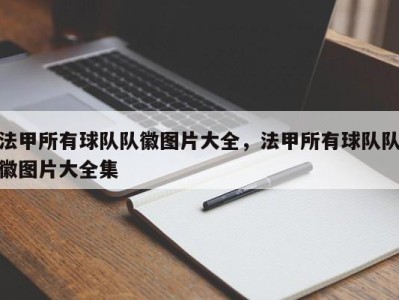 法甲所有球队队徽图片大全，法甲所有球队队徽图片大全集