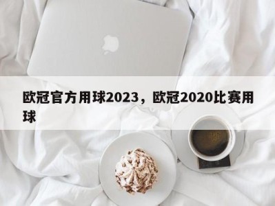 欧冠官方用球2023，欧冠2020比赛用球
