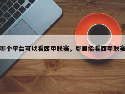 哪个平台可以看西甲联赛，哪里能看西甲联赛