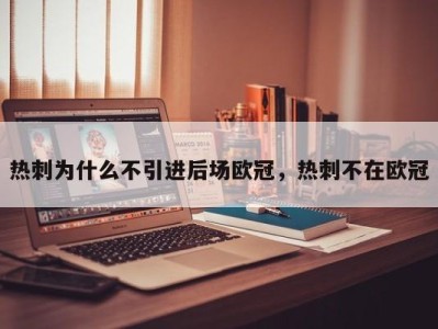 热刺为什么不引进后场欧冠，热刺不在欧冠