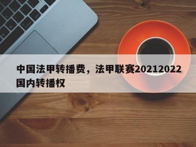 中国法甲转播费，法甲联赛20212022国内转播权