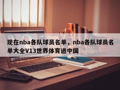 现在nba各队球员名单，nba各队球员名单大全V13世界体育进中国