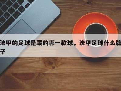法甲的足球是踢的哪一款球，法甲足球什么牌子