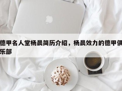 德甲名人堂杨晨简历介绍，杨晨效力的德甲俱乐部