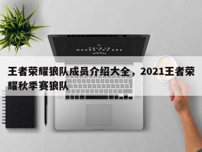 王者荣耀狼队成员介绍大全，2021王者荣耀秋季赛狼队
