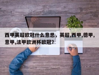 西甲英超欧冠什么意思，英超,西甲,德甲,意甲,法甲欧洲杯欧冠？