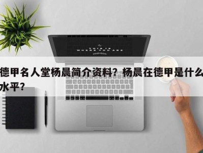 德甲名人堂杨晨简介资料？杨晨在德甲是什么水平？