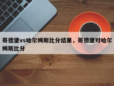 哥德堡vs哈尔姆斯比分结果，哥德堡对哈尔姆斯比分