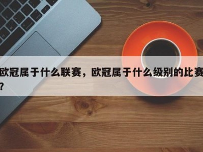欧冠属于什么联赛，欧冠属于什么级别的比赛？