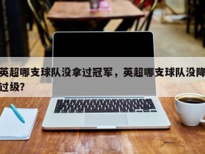 英超哪支球队没拿过冠军，英超哪支球队没降过级？