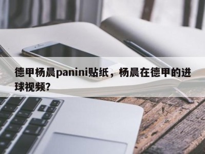 德甲杨晨panini贴纸，杨晨在德甲的进球视频？