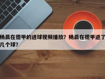 杨晨在德甲的进球视频播放？杨晨在德甲进了几个球？