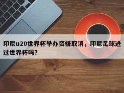 印尼u20世界杯举办资格取消，印尼足球进过世界杯吗？